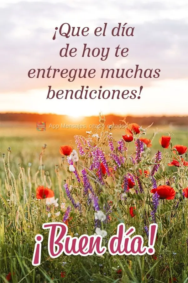 ¡Que el día de hoy te entregue muchas bendiciones! ¡Buen día!