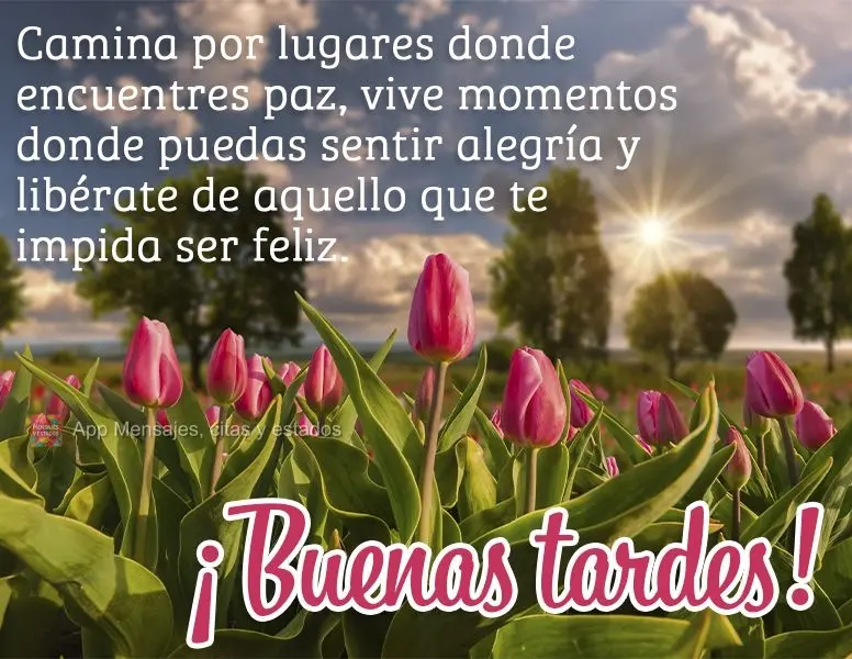 Caminhe por lugares em que você encontre paz. Viva momentos onde você possa sentir alegria e liberte-se daquilo que o impeça de ser feliz. Boa tarde!...