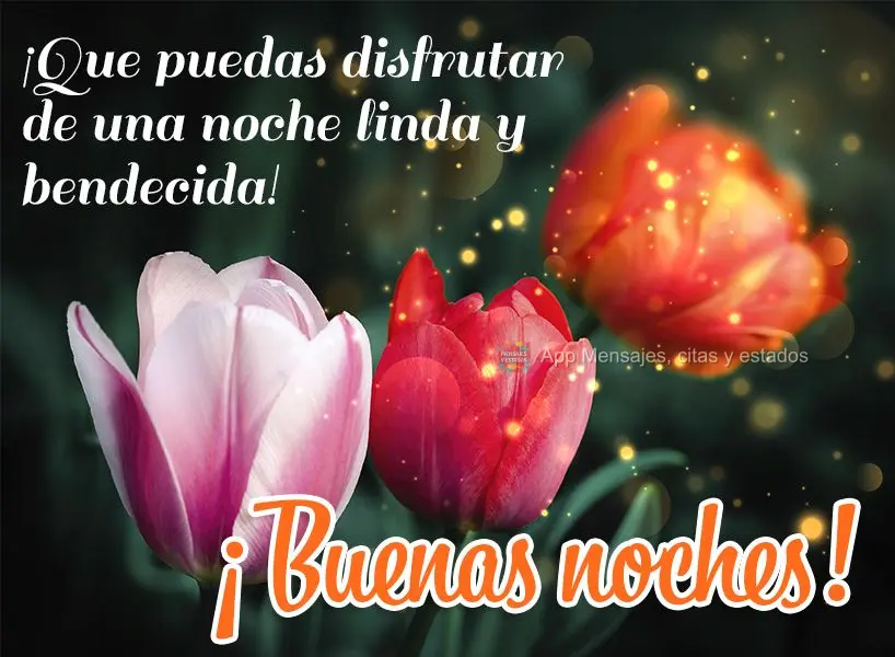 Que você possa desfrutar de uma noite linda e abençoada! Boa noite!