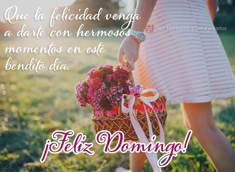 Que la felicidad venga a darte con hermosos momentos en este bendito día. ¡Feliz Domingo!