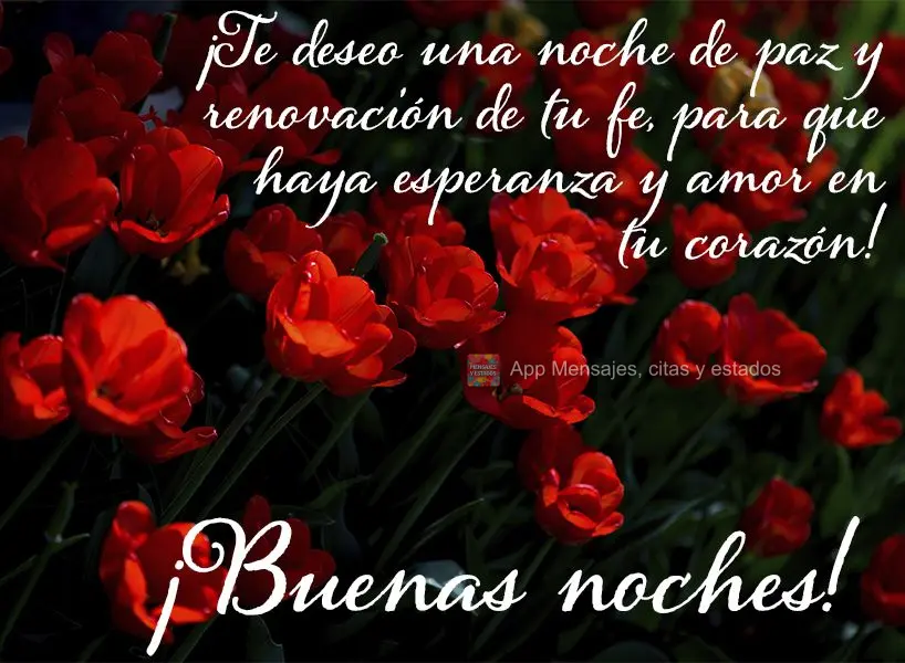 Desejo uma noite de paz e renovação. Que renove a sua fé, a esperança e o amor em seu coração! Boa noite!