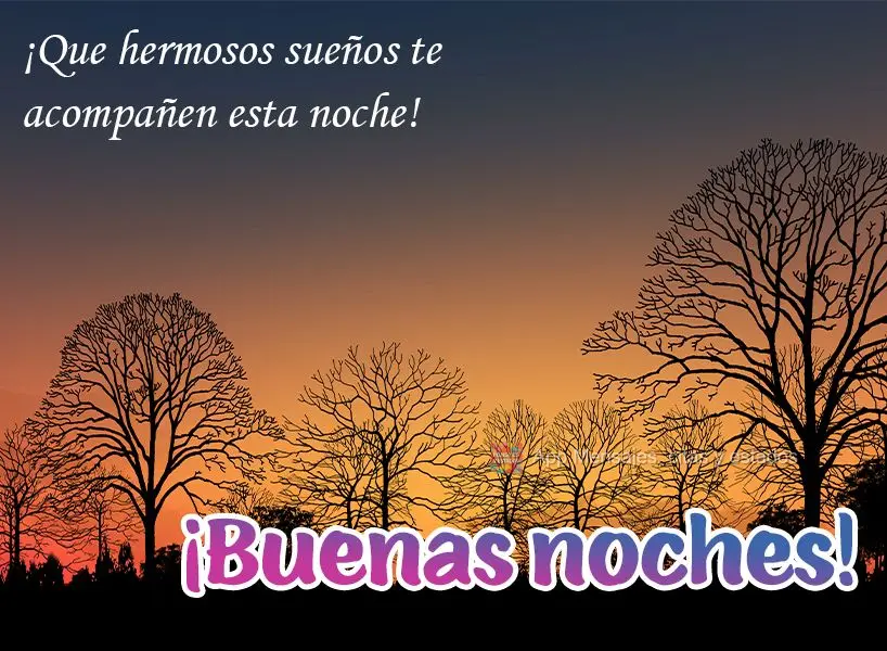 Que sua noite venha acompanhada de lindos sonhos! Boa noite! 