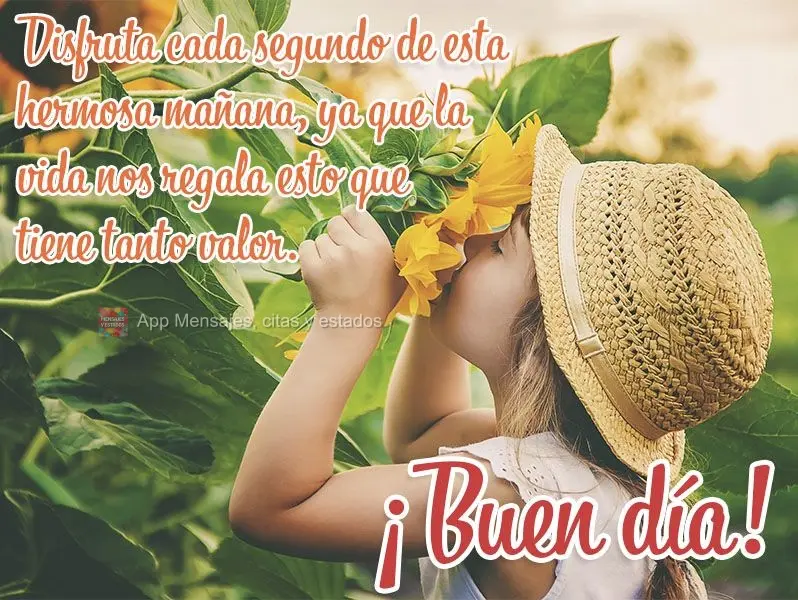 Aproveite cada segundo desta linda manhã, pois a vida nos dá de graça aquilo que tem mais valor. Bom dia!