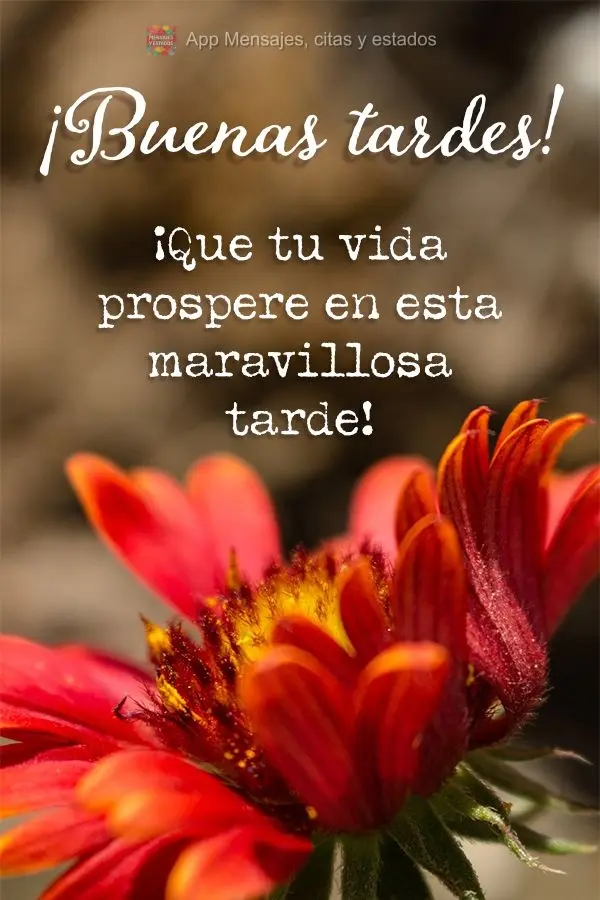 Que sua vida prospere nesta maravilhosa tarde! Boa tarde!