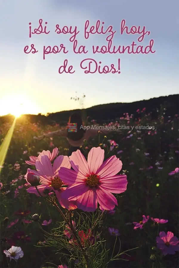 ¡Si soy feliz hoy, es por la voluntad de Dios!