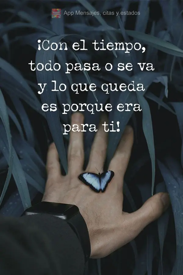 Com o tempo tudo passa ou vai embora e o que ficou é porque era pra ser seu!