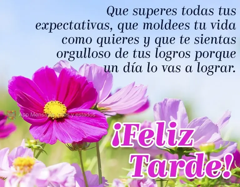 Que você supere todas as suas expectativas, que modele a vida como quiser e que sinta orgulho de suas conquistas, porque um dia você irá vencer. Feliz...