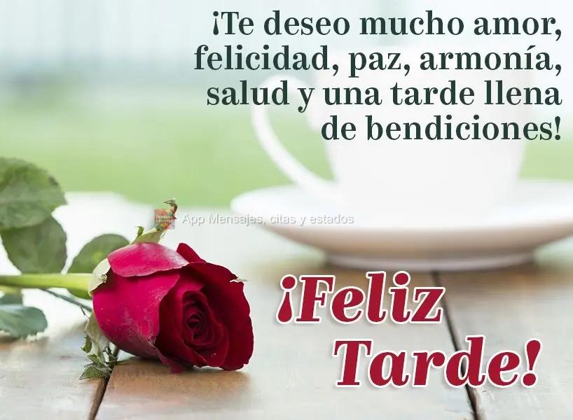 ¡Te deseo mucho amor, felicidad, paz, armonía, salud y una tarde llena de bendiciones! ¡Feliz tarde!