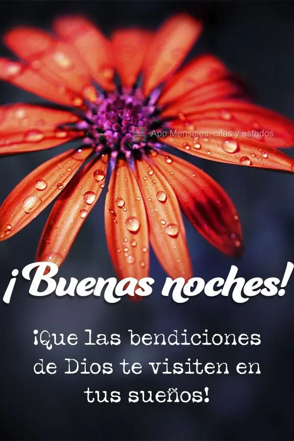 ¡Que las bendiciones de Dios te visiten en tus sueños! ¡Buenas noches!