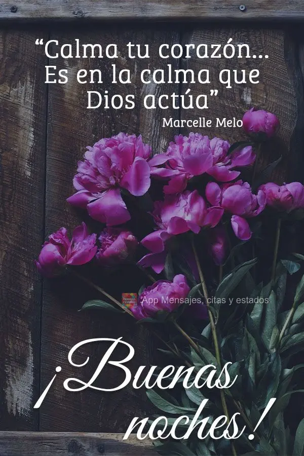 "Calma tu corazón... Es en la calma que Dios actúa". ¡Buenas noches! Marcelle Melo