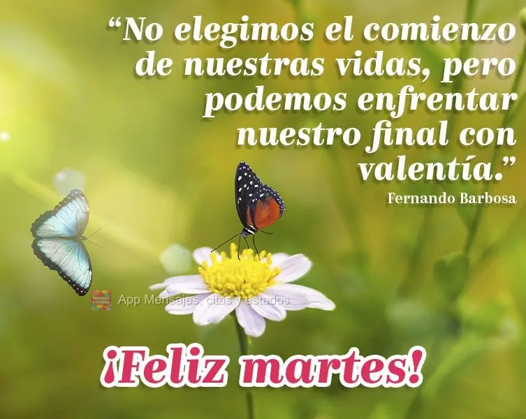 “Nós não escolhemos o começo de nossas vidas, mas podemos enfrentar o nosso fim com coragem.” Feliz terça-feira! Fernando Barbosa