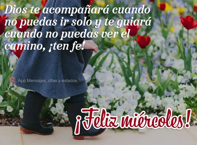 Dios te acompañará cuando no puedas ir solo y te guiará cuando no puedas ver el camino, ¡ten fe! ¡Feliz miércoles!