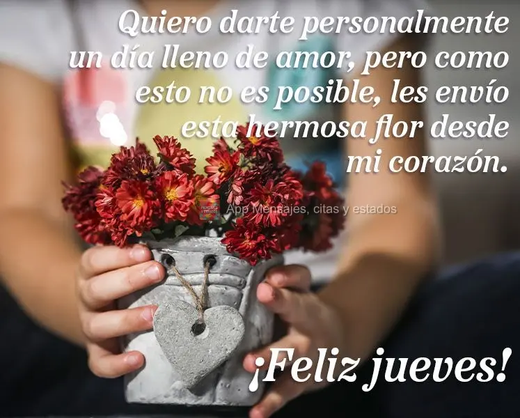 Quiero darte personalmente un día lleno de amor, pero como esto no es posible, les envío esta hermosa flor desde mi corazón. ¡Feliz jueves!