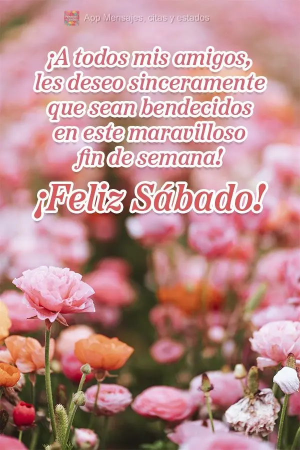 ¡A todos mis amigos, les deseo sinceramente que sean bendecidos en este maravilloso fin de semana! ¡Feliz sábado!