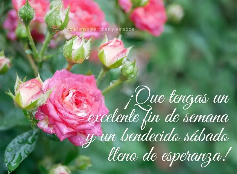 ¡Que tengas un excelente fin de semana y un bendecido sábado lleno de esperanza!