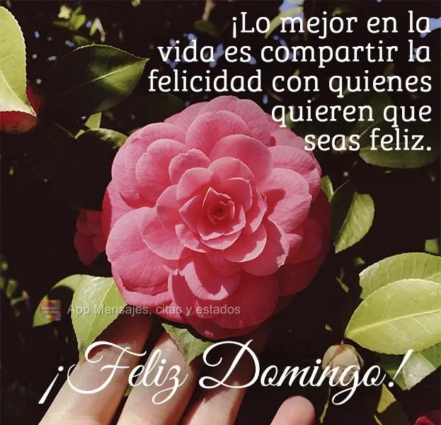 ¡Lo mejor en la vida es compartir la felicidad con quienes quieren que seas feliz. ¡Feliz domingo!