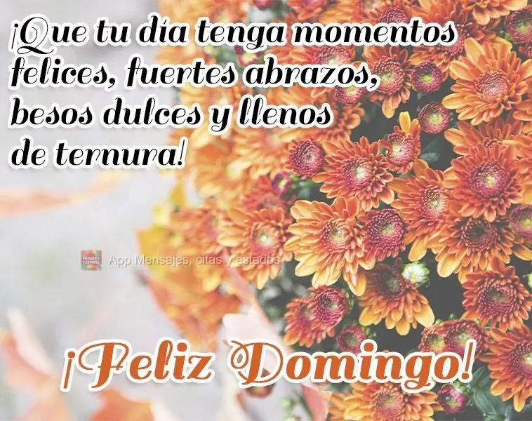 ¡Que tu día tenga momentos felices, fuertes abrazos, besos dulces y llenos de ternura! ¡Feliz domingo!