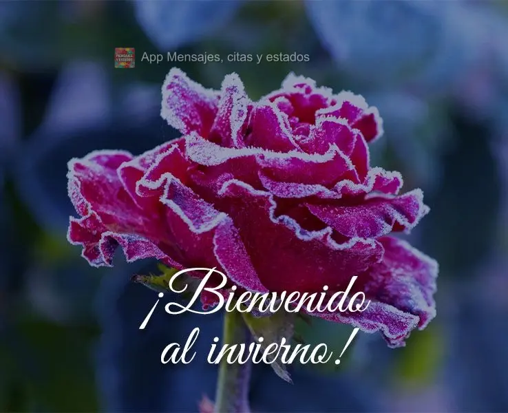 Seja Bem-vindo ao Inverno!