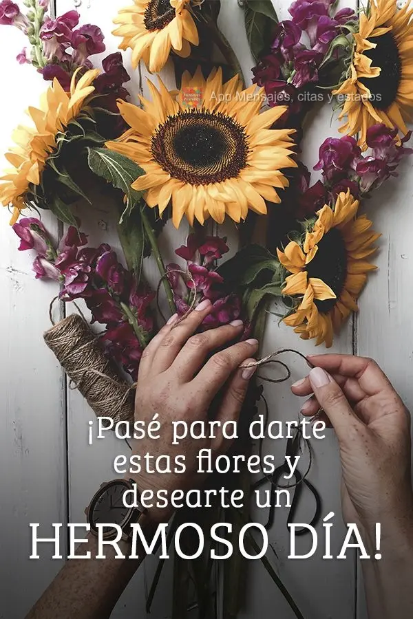 Passei aqui para entregar essas flores e lhe desejar um lindo dia!