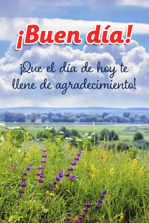 Que o dia de hoje nos encha de gratidão! Bom dia!