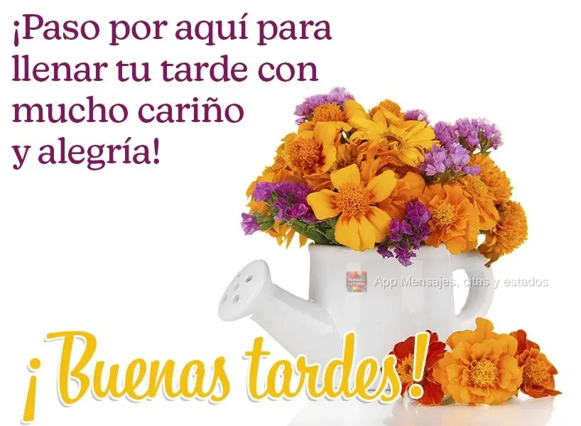 Passei aqui para regar sua tarde com muito carinho e alegria! Boa tarde!