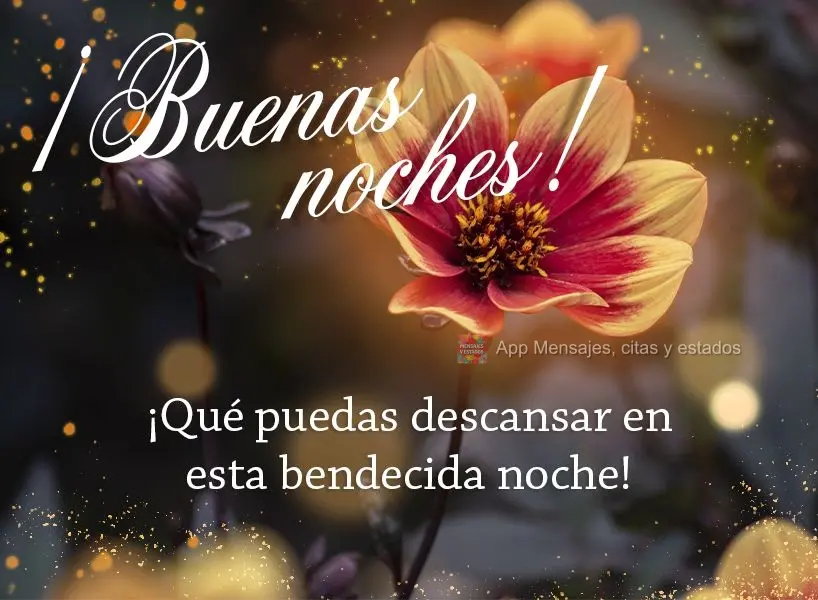 Que você possa descansar nesta noite abençoada! Boa noite!