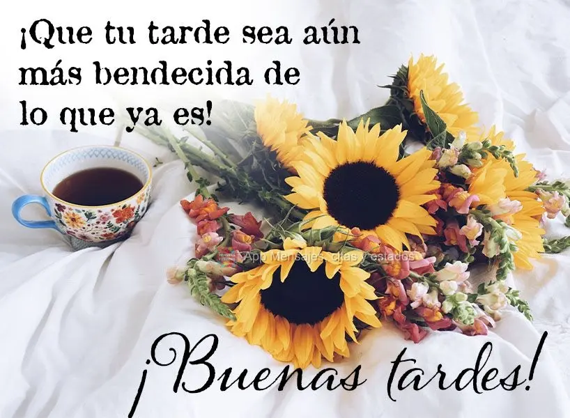 ¡Que tu tarde sea aún más bendecida de lo que ya es! ¡Buenas tardes!