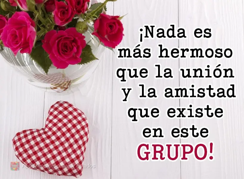 ¡Nada es más hermoso que la unión y la amistad que existe en este grupo!