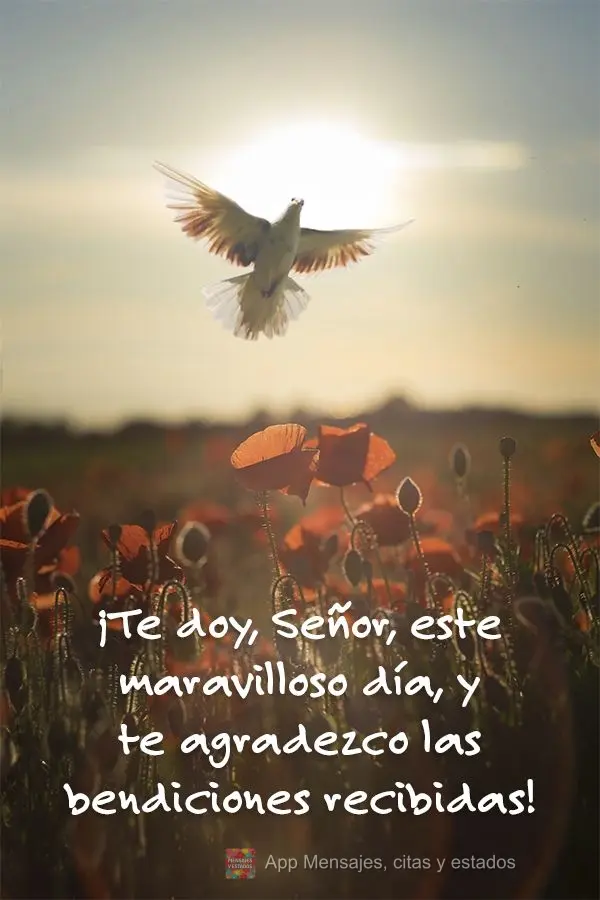 ¡Te doy, Señor, este maravilloso día, y te agradezco las bendiciones recibidas!