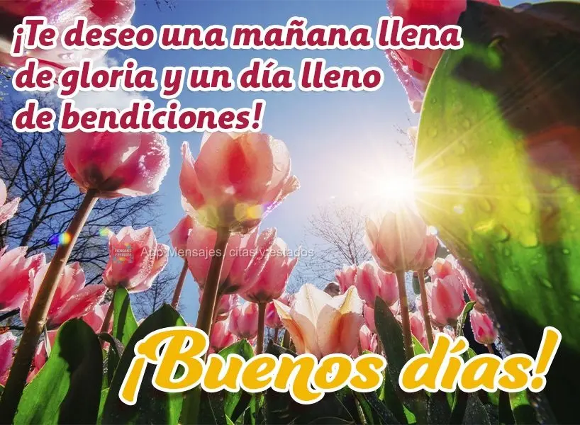 Desejo uma manhã cheia de glória e um dia cheio de bênçãos! Bom dia!