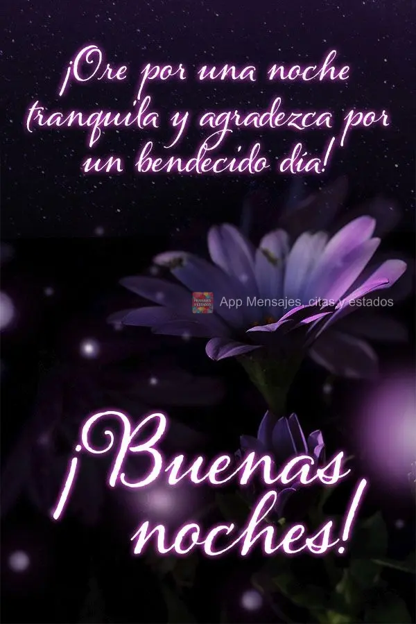 Ore por uma noite de paz e seja grato pelo dia abençoado! Boa noite!