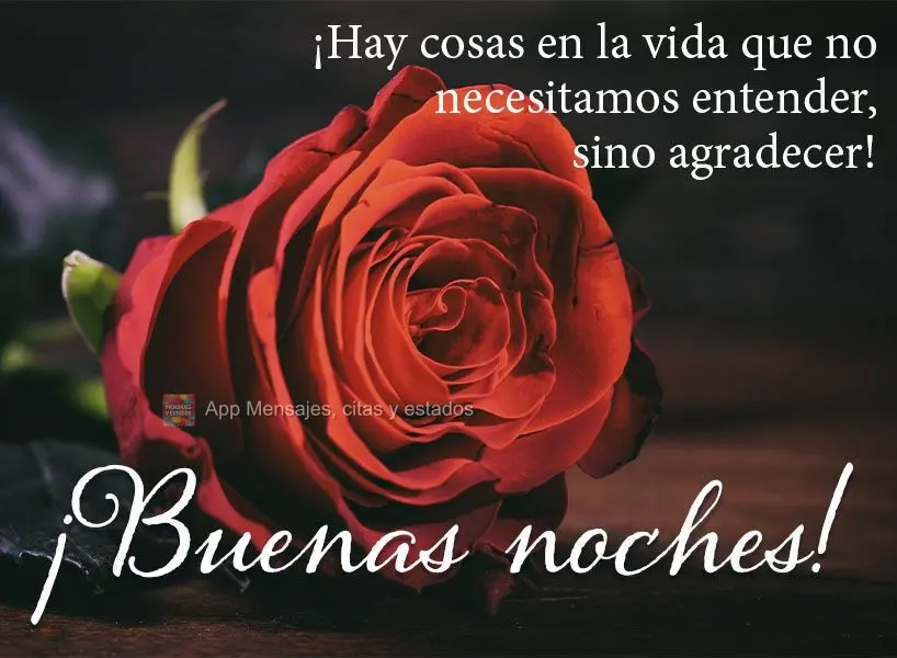 Há coisas na vida que a gente não precisa entender, apenas agradecer! Boa noite!