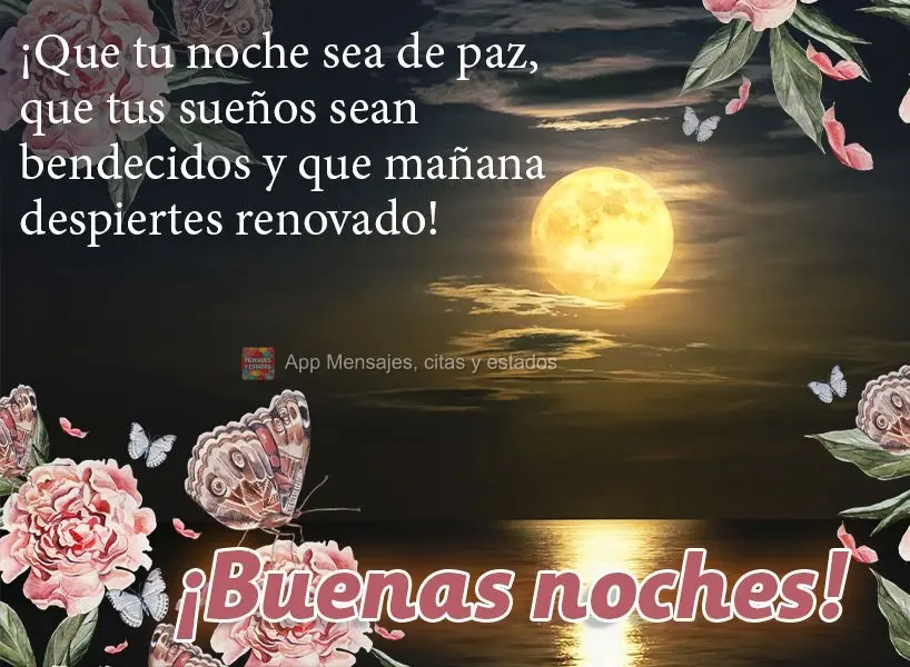 Que sua noite seja de paz, que seus sonhos sejam abençoados e que amanhã você acorde renovado! Boa noite!