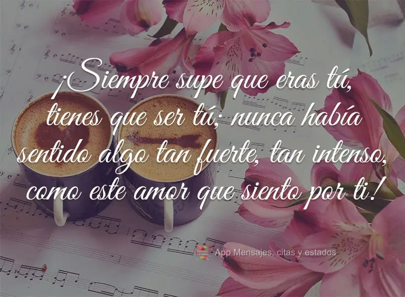 Eu sempre soube que era você, tem que ser você; nunca senti algo tão forte e tão intenso quanto esse amor que sinto por você!