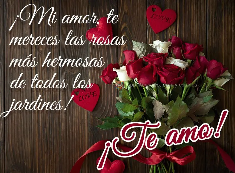 Meu amor, você merece as rosas mais belas de todo jardim! Te amo!