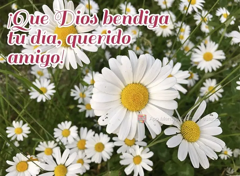 ¡Que Dios bendiga tu día, querido amigo!