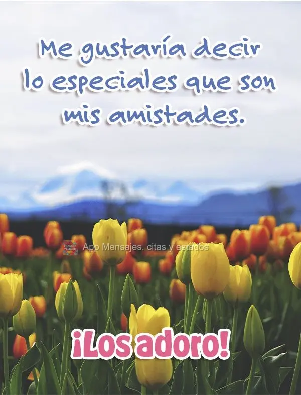Me gustaría decir lo especiales que son mis amistades. ¡Los adoro!
