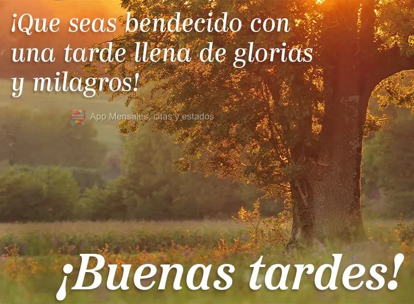 Que você seja abençoado com uma tarde cheia de glórias e milagres! Boa tarde!