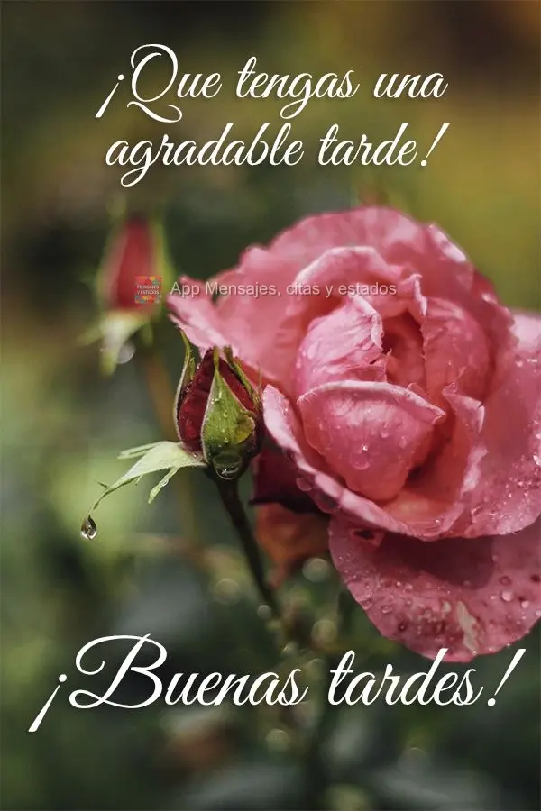 Que você tenha uma tarde agradável! Boa tarde!