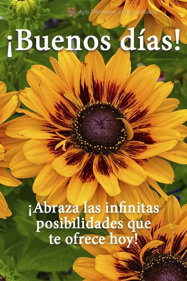 Abrace as infinitas possibilidades que o dia de hoje venha a te oferecer!  Bom dia!