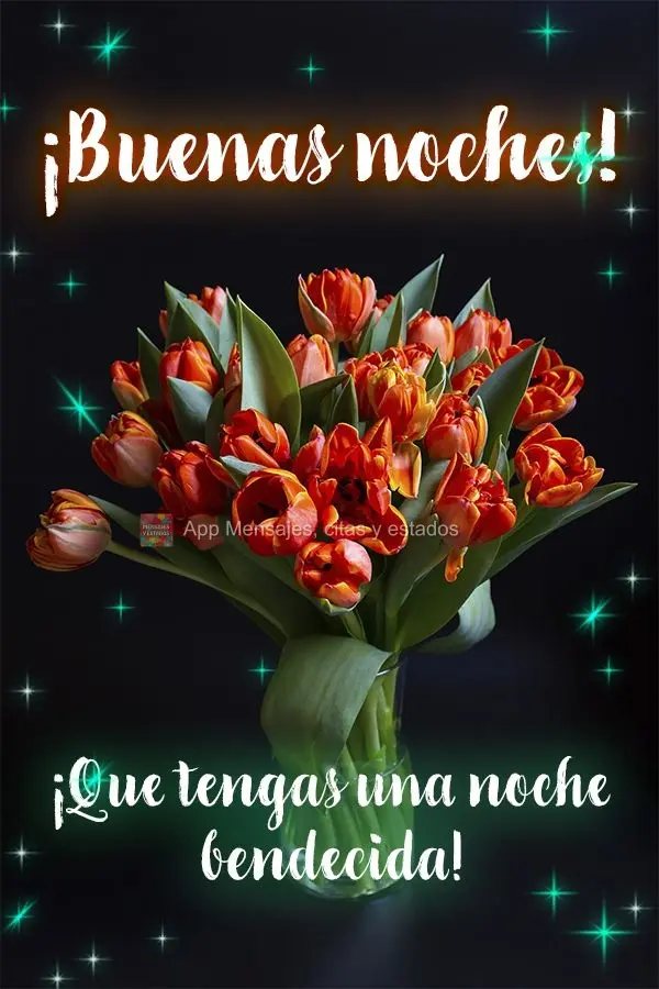 Tenha uma noite abençoada! Boa noite!