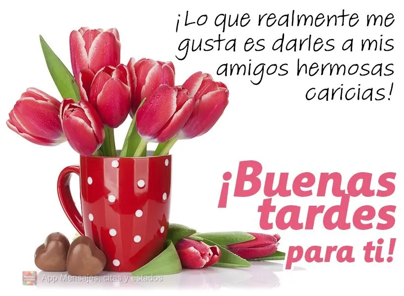 Eu gosto mesmo é de presentear meus amigos com lindos carinhos!  Boa tarde para você!