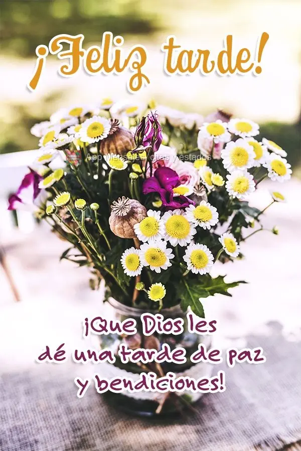 ¡Que Dios les dé una tarde de paz y bendiciones! ¡Feliz tarde!