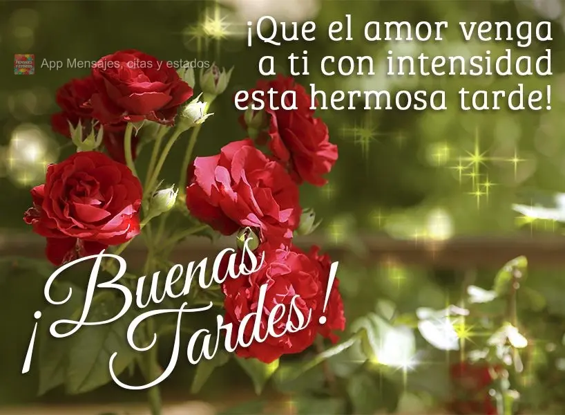 Que o amor venha para você com intensidade nesta linda tarde!  Boa tarde!