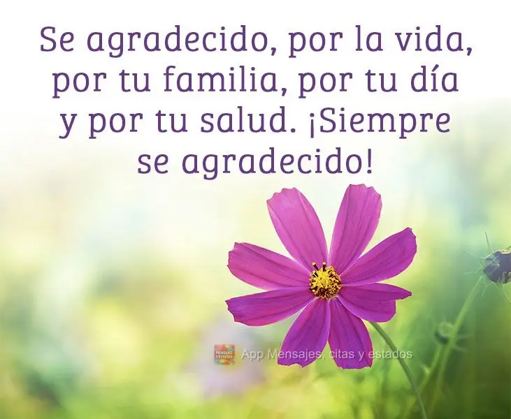 Se agradecido, por la vida, por tu familia, por tu día y por tu salud. ¡Siempre se agradecido!