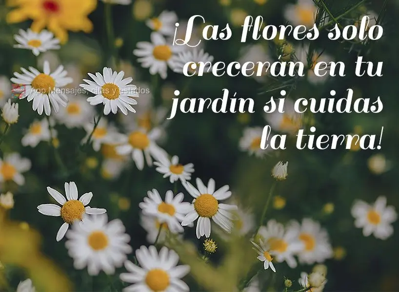 ¡Las flores solo crecerán en tu jardín si cuidas la tierra!