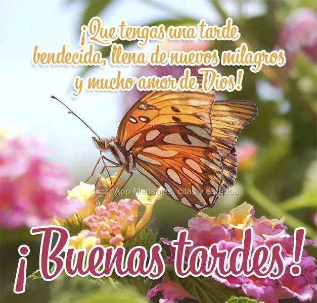 Que você tenha uma tarde abençoada, cheia de novos milagres e muito amor de Deus! Boa tarde!