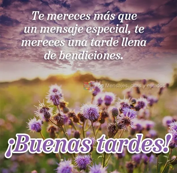 Você merece mais do que uma mensagem especial, você merece uma tarde cheia de bênçãos. Boa tarde!