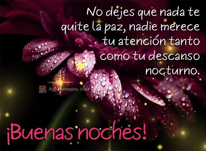 Não deixe que nada tire sua paz. Ninguém merece tanto sua atenção como sua noite de descanso. Boa noite!