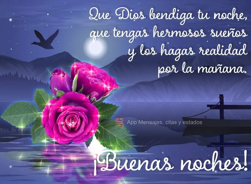 Que Dios bendiga tu noche, que tengas hermosos sueños y los hagas realidad por la mañana. ¡Buenas noches!